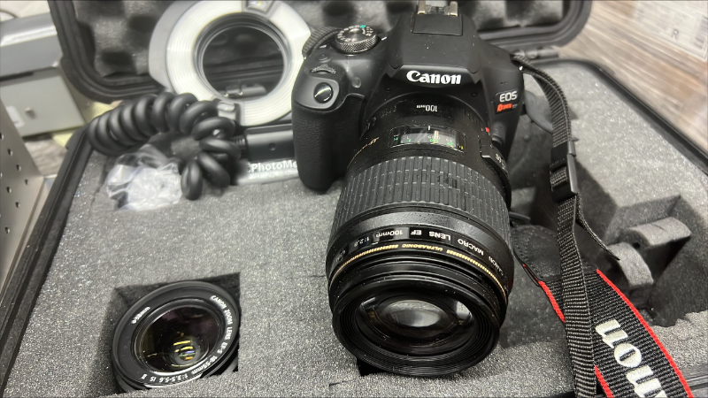 Canon Digital Rebel photo 4