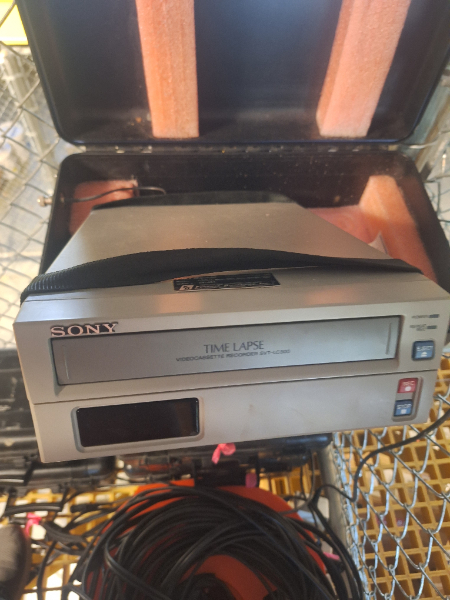 (5) Wildlife Cameras photo 4