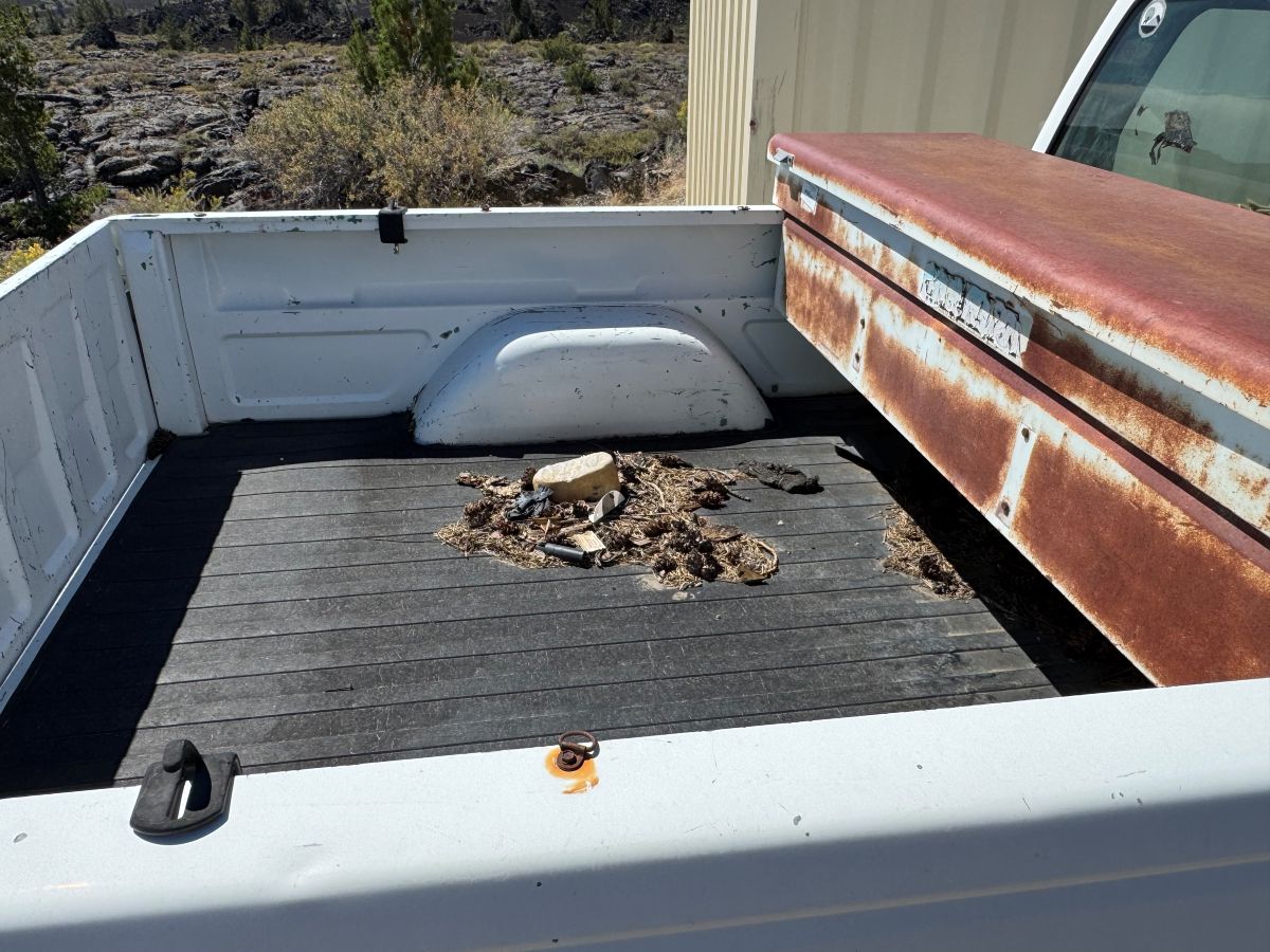 1990 Chevrolet C1500 photo 3